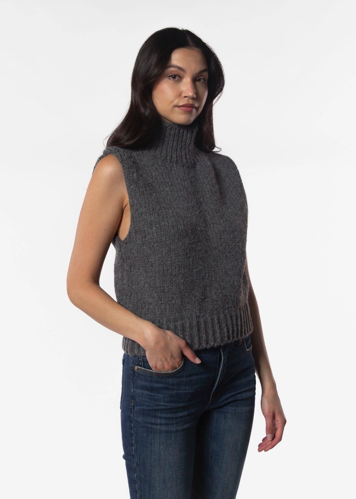 DELUC George Turtleneck Knit Vest