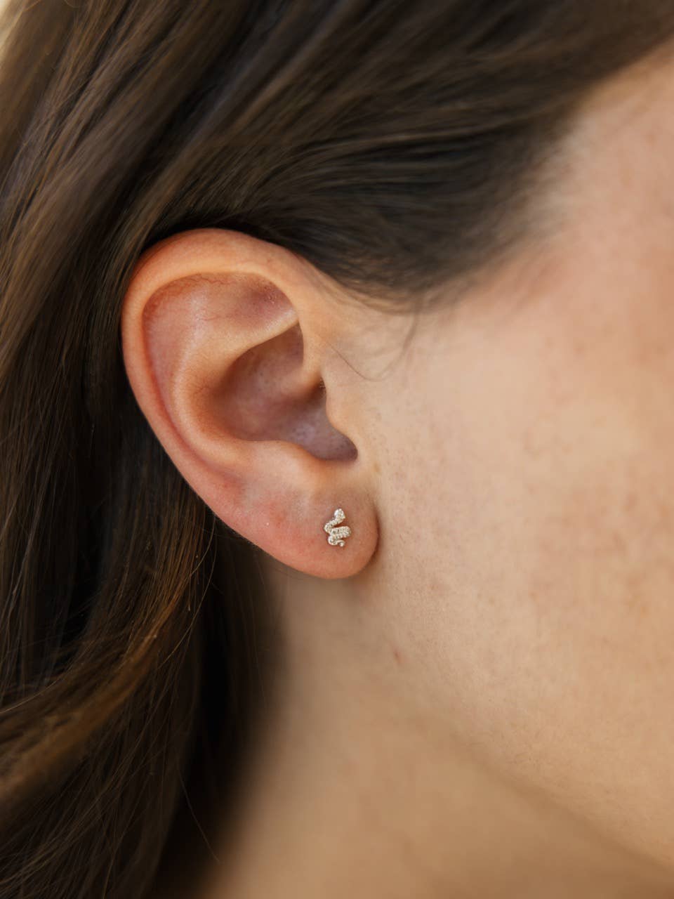 The Land of Salt Snake Stud Earrings