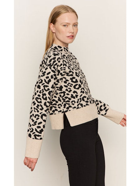 Sanctuary Soft Touch Popover