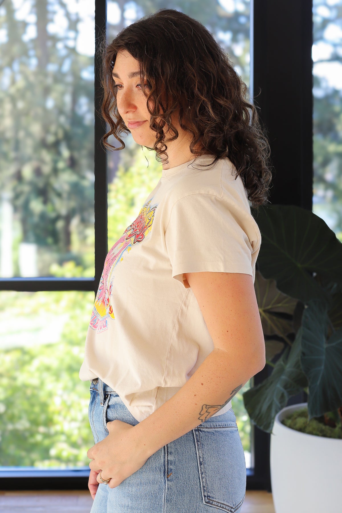 DAYDREAMER Aerosmith World Tour Tour Tee