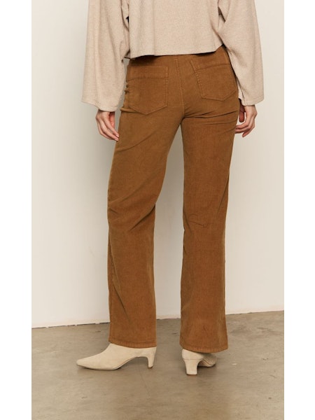 Sanctuary The Corduroy Marine