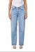 AGOLDE V-Waist Baggy in Prevail