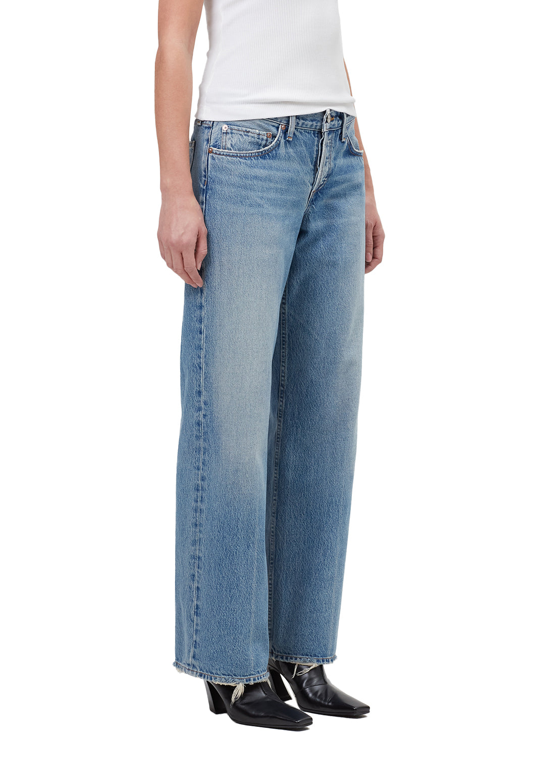 AGOLDE Low Rise Loose in Vault