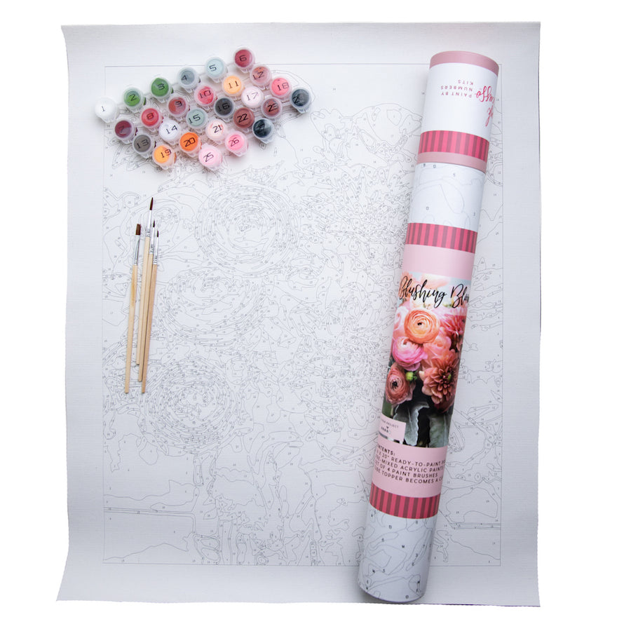 Pink Picasso Kits Paint By Number Kits 2 Assorted