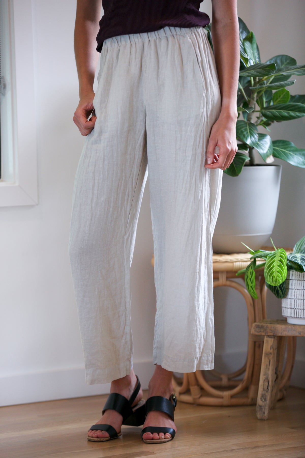 Velvet by Graham &amp; Spencer Lola Pants